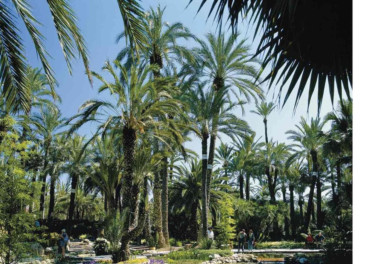 Luxury New Apartment City Centre & Beach, Alicante Luaran gambar